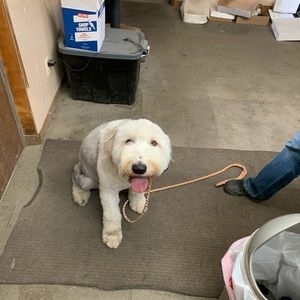 Meet your Posher, Douglas